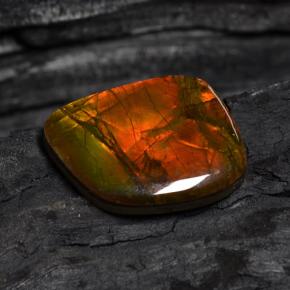 Ammolita multicolor natural de 15,89 ct, forma elegante, opaco