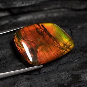 Ammolita multicolor natural de 15,89 ct, forma elegante, opaco