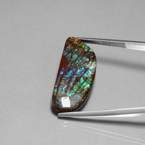 Ammolita multicolor natural de 16,86 ct, forma elegante, opaco