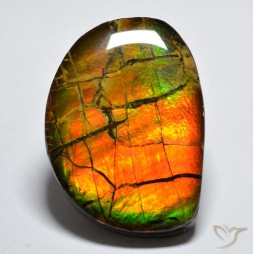 17.11ct Natural Multicolor amolita, Elegante, Opaco