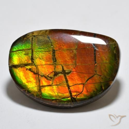 amolita Multicolor natural de 17.11 ct, Elegante, Opaco