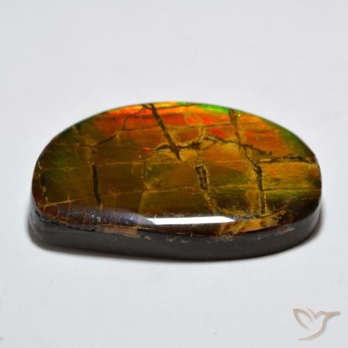 amolita Multicolor natural de 17.11 ct, Elegante, Opaco