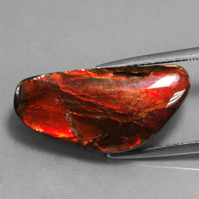 Ammolita multicolor natural de 9,14 ct, forma elegante, opaco