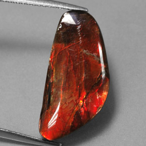 Ammolita multicolor natural de 9,14 ct, forma elegante, opaco