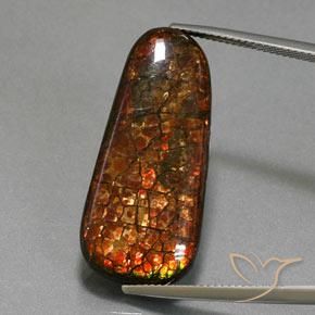 21.40ct Natural Multicolor amolita, Elegante, Opaco