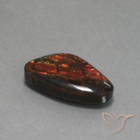 amolita Multicolor natural de 12.58 ct, Elegante, Opaco