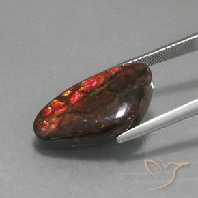 amolita Multicolor natural de 12.58 ct, Elegante, Opaco