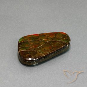 amolita Multicolor natural de 18.59 ct, Elegante, Opaco