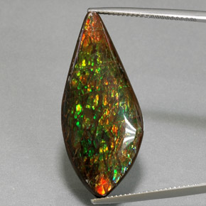 Ammolita multicolor natural de 19,86 ct, forma elegante, opaco