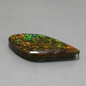 Ammolita multicolor natural de 19,86 ct, forma elegante, opaco