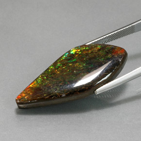 Ammolita multicolor natural de 19,86 ct, forma elegante, opaco