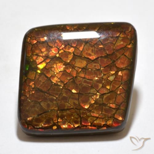 20.34ct Natural Multicolor amolita, Elegante, Opaco