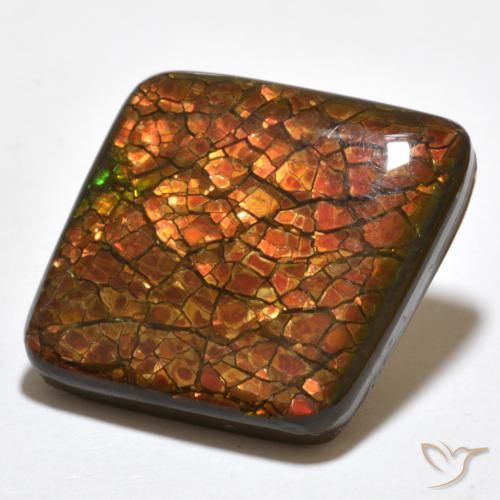 amolita Multicolor natural de 20.34 ct, Elegante, Opaco
