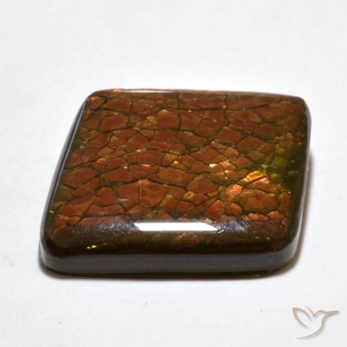 amolita Multicolor natural de 20.34 ct, Elegante, Opaco