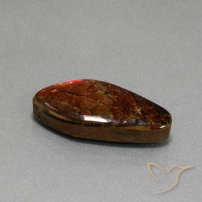 amolita Multicolor natural de 11.37 ct, Elegante, Opaco