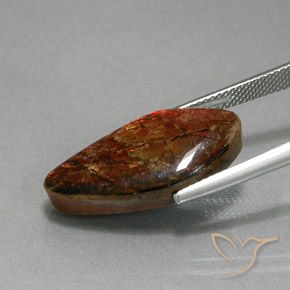 amolita Multicolor natural de 11.37 ct, Elegante, Opaco
