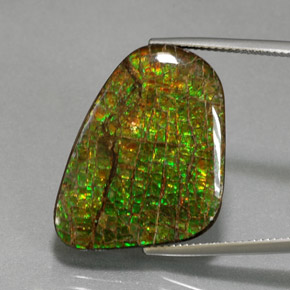 Ammolita multicolor natural de 21,28 ct, forma elegante, opaco