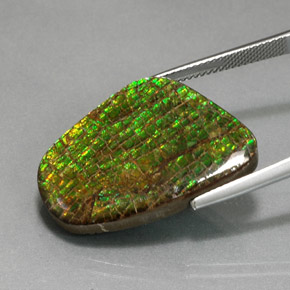 Ammolita multicolor natural de 21,28 ct, forma elegante, opaco