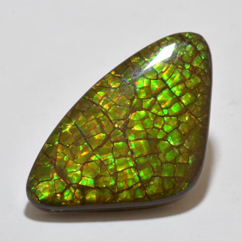 amolita Multicolor natural de 17.80 ct, Trillón, Opaco