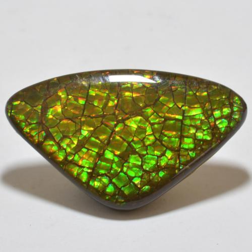 amolita Multicolor natural de 17.80 ct, Trillón, Opaco