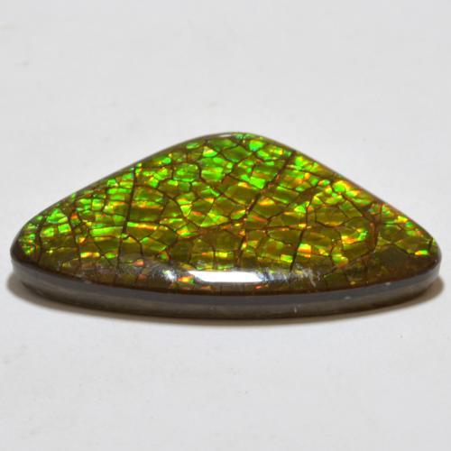 amolita Multicolor natural de 17.80 ct, Trillón, Opaco