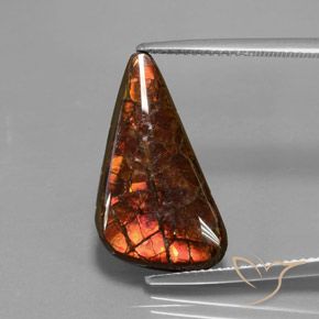 Ammolita multicolor natural de 8,81 ct, forma elegante, opaco