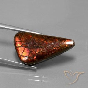 Ammolita multicolor natural de 8,81 ct, forma elegante, opaco