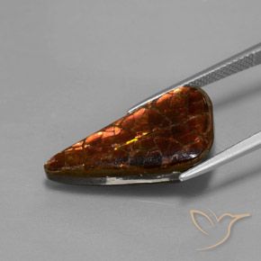 Ammolita multicolor natural de 8,81 ct, forma elegante, opaco