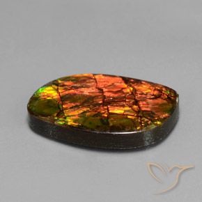amolita Multicolor natural de 13.27 ct, Elegante, Opaco
