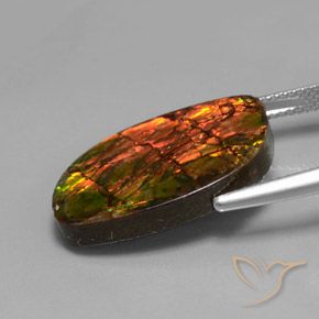 amolita Multicolor natural de 13.27 ct, Elegante, Opaco