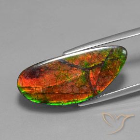 amolita Multicolor natural de 12.10 ct, Elegante, Opaco