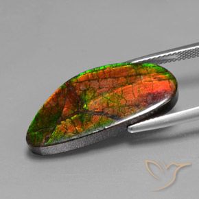 amolita Multicolor natural de 12.10 ct, Elegante, Opaco