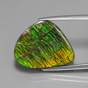 Ammolita multicolor natural de 12,97 ct, forma elegante, opaco