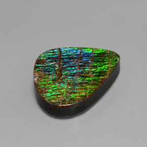 Ammolita multicolor natural de 12,97 ct, forma elegante, opaco
