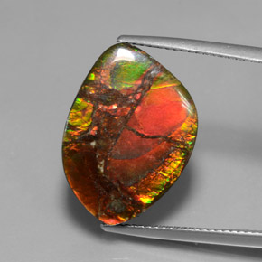 Ammolita multicolor natural de 13,21 ct, forma elegante, opaco