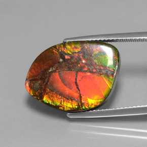 Ammolita multicolor natural de 13,21 ct, forma elegante, opaco