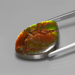 Ammolita multicolor natural de 13,21 ct, forma elegante, opaco