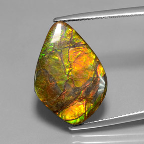 Ammolita multicolor natural de 10,41 ct, forma elegante, opaco