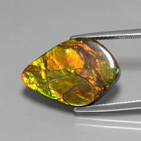 Ammolita multicolor natural de 10,41 ct, forma elegante, opaco