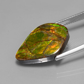 Ammolita multicolor natural de 10,41 ct, forma elegante, opaco