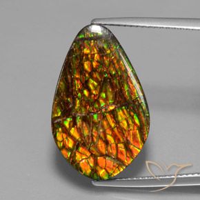 14.79ct Natural Multicolor amolita, Elegante, Opaco