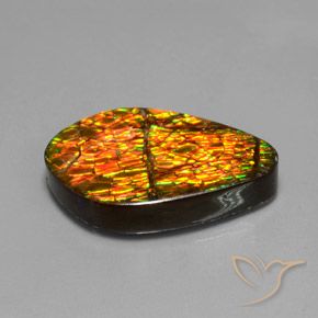 amolita Multicolor natural de 14.79 ct, Elegante, Opaco