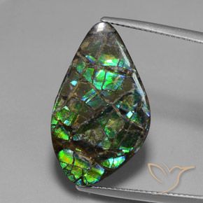 15.28ct Natural Multicolor amolita, Elegante, Opaco