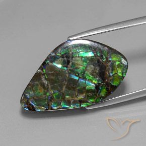 amolita Multicolor natural de 15.28 ct, Elegante, Opaco