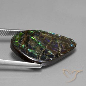 amolita Multicolor natural de 15.28 ct, Elegante, Opaco