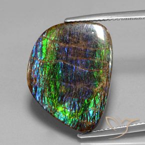 15.82ct Natural Multicolor amolita, Elegante, Opaco