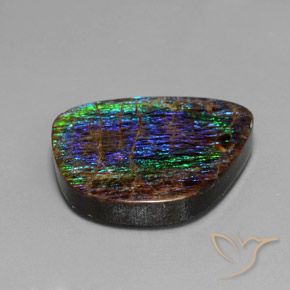 amolita Multicolor natural de 15.82 ct, Elegante, Opaco