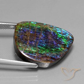 amolita Multicolor natural de 15.82 ct, Elegante, Opaco