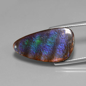 amolita Multicolor natural de 15.59 ct, Forma elegante, Opaco