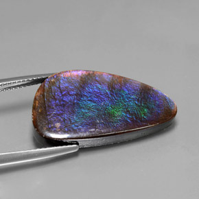 amolita Multicolor natural de 15.59 ct, Forma elegante, Opaco